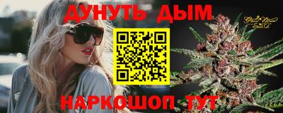 спайс Аша
