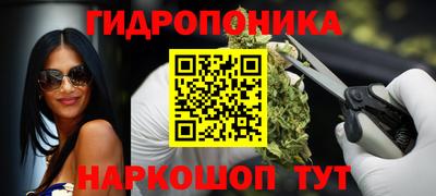 спайс Аша