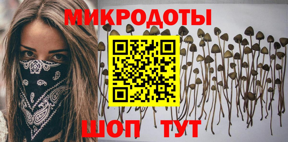Борзя  Псилоцибиновые грибы Psilocybine cubensis  Вход с VPN 