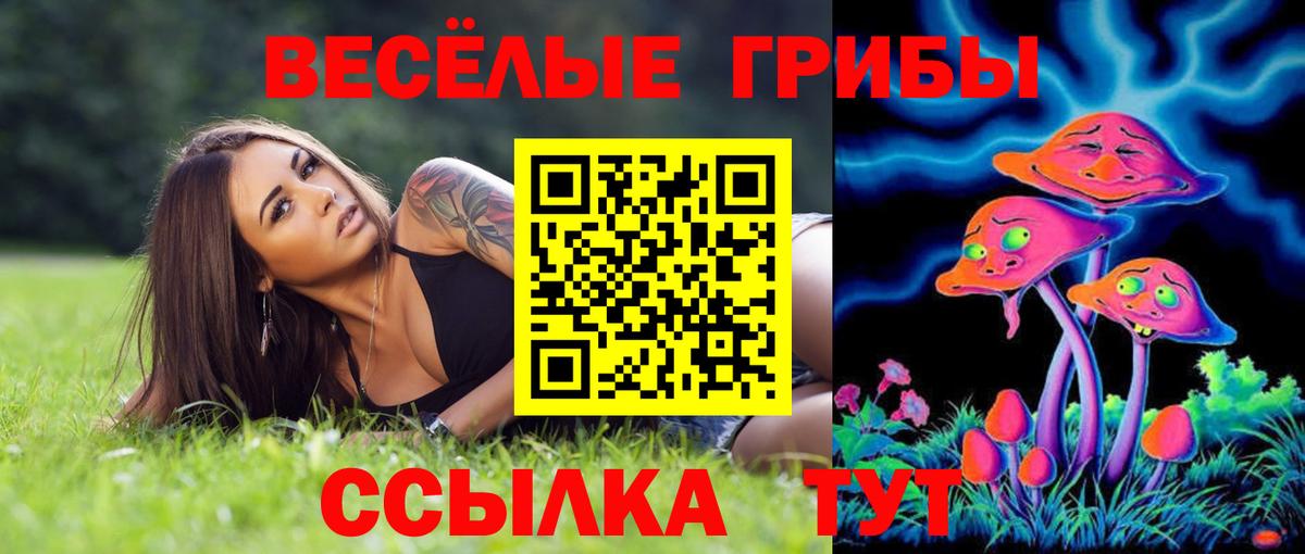 Псилоцибиновые грибы GOLDEN TEACHER Борзя